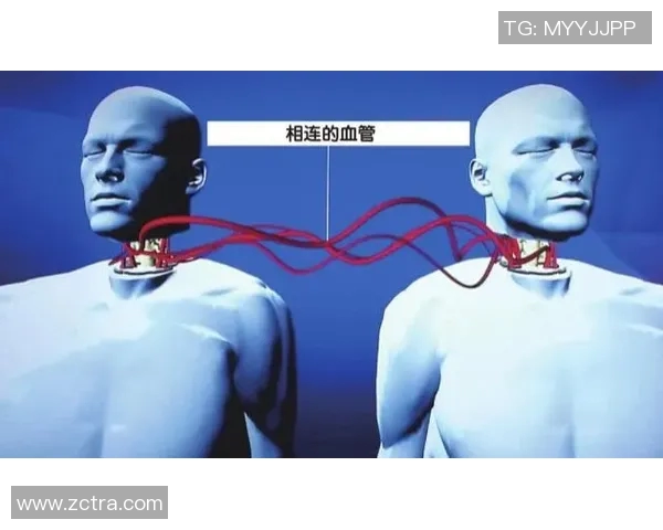 深圳篮球队整体压制战术解析与深度剖析球队成功背后的秘密