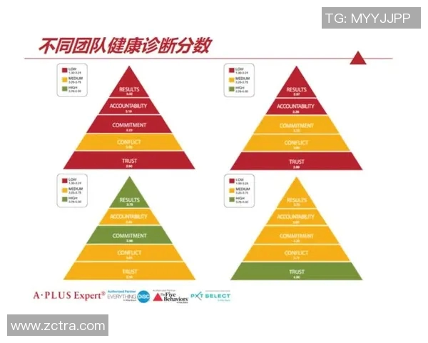 南京乒乓球队在精英赛中的团队协作表现分析与评价