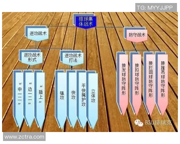 成都排球队的节奏解析与战术创新探讨